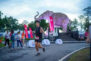 BIB: 
                            <button type="button" onclick="openModal(26551714)" class="btn btn-primary btn-sm float-right btn-popup" data-toggle="modal" data-target=".modal-high-quality">
                        <i class="fas fa-shopping-cart"></i> Add to Cart
                    </button>
                                            <button type="button" onclick="isThisMe(26551714, true)" class="btn btn-success btn-sm float-right btn-popup btn-isme hidden" data-toggle="tooltip" data-placement="bottom" title="นี่คือรูปของคุณใช่ไหม คลิกที่นี่เพื่อเอาเข้าอัลบั้ม">
                        <i class="fas fa-plus"></i> Add to album
                    </button>
                    <button type="button" onclick="isThisMe(26551714, false)" class="btn btn-warning btn-sm float-right btn-popup btn-isnotme hidden">
                        <i class="fas fa-ban"></i> Remove from album
                    </button>